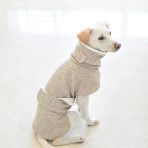 A white dog wearing a knitted sweater sits on the floor, creating a warm, cozy atmosphere.
