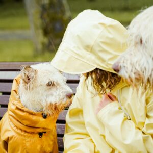 A woman with two dogs in raincoats sitting on a bench during a rainy day in a park.